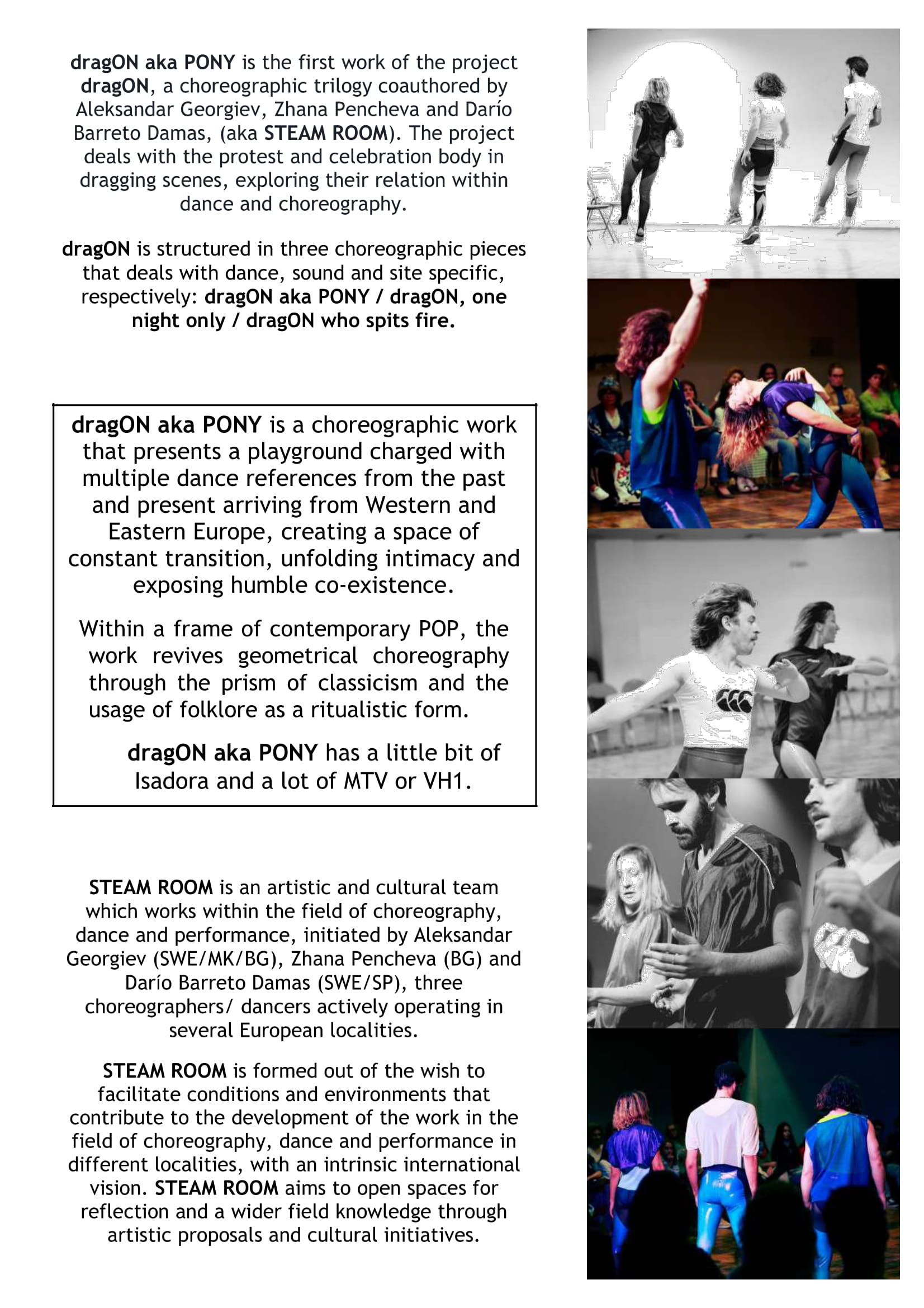 dragON aka PONY dossier-2