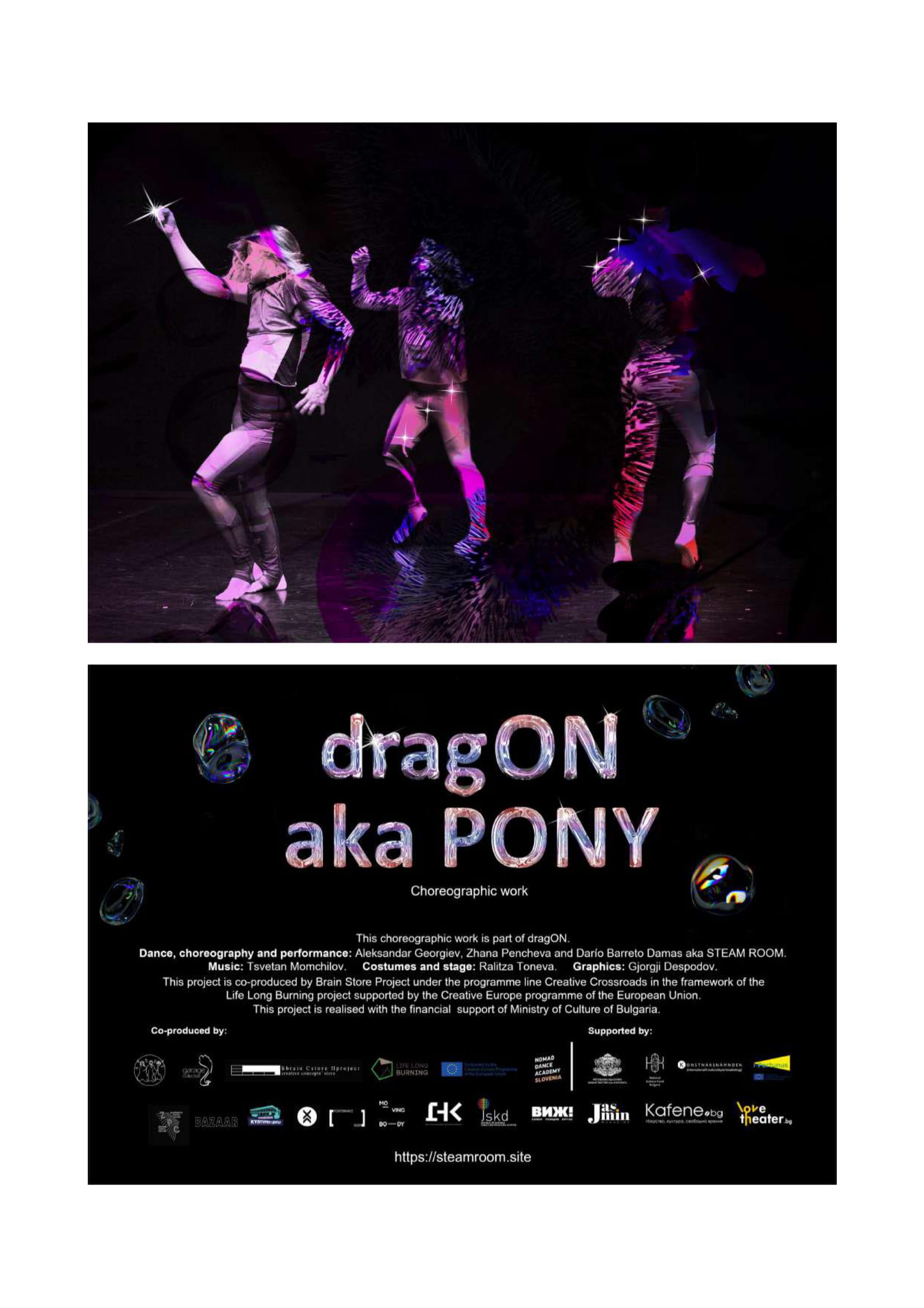 dragON aka PONY dossier-4